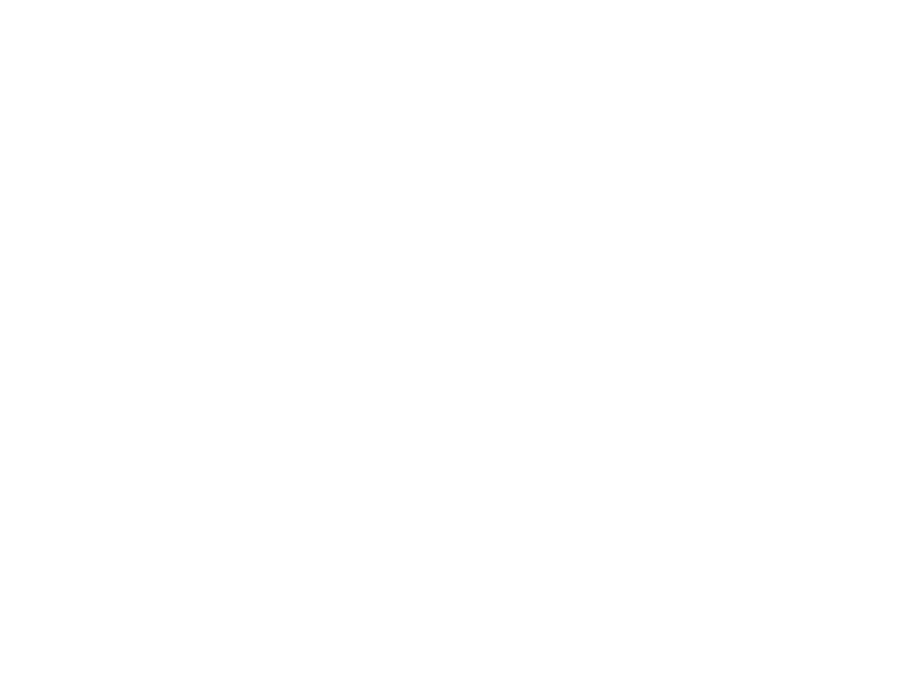Logo LM Instrumentation – Instruments et systèmes de contrôle